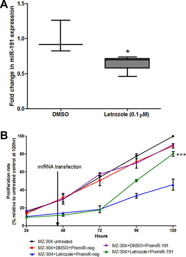 Assessment of miR-191contribution to GBM-letrozole treatment.