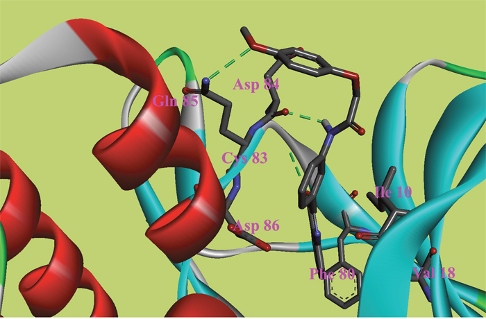 The ATP binding site is represented in ribbon form, and ligands are shown as stick representation, colored by element, H-Bonding interactions are presented with red lines.