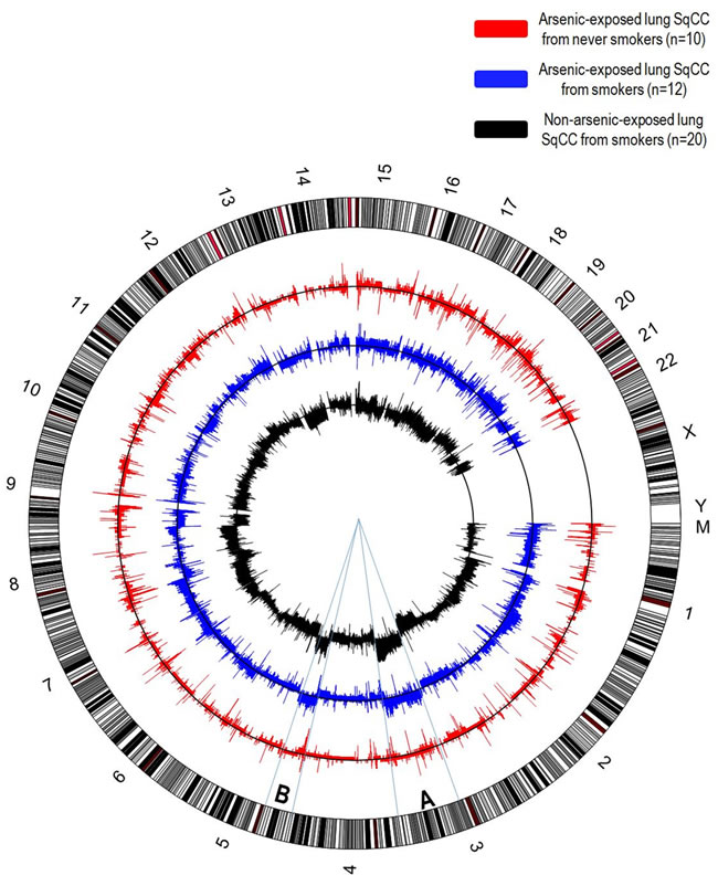 Circular representation of DNA copy-number alterations (CNAs) in lung squamous cell carcinomas.
