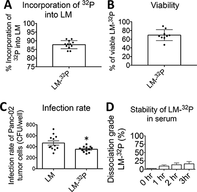 Generation and characterization of Listeria monocytogenes (Listeria)-32P.