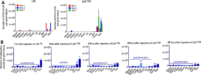 Effect of 32P on biodistribution of Listeria.