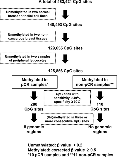 Screening process of genomic regions whose methylation statuses were associated with pCR to trastuzumab and chemotherapy.