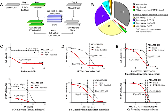 A High Throughput Screen (HTS) to identify effective compounds against paclitaxel-residual MDA-MB-231 cells.