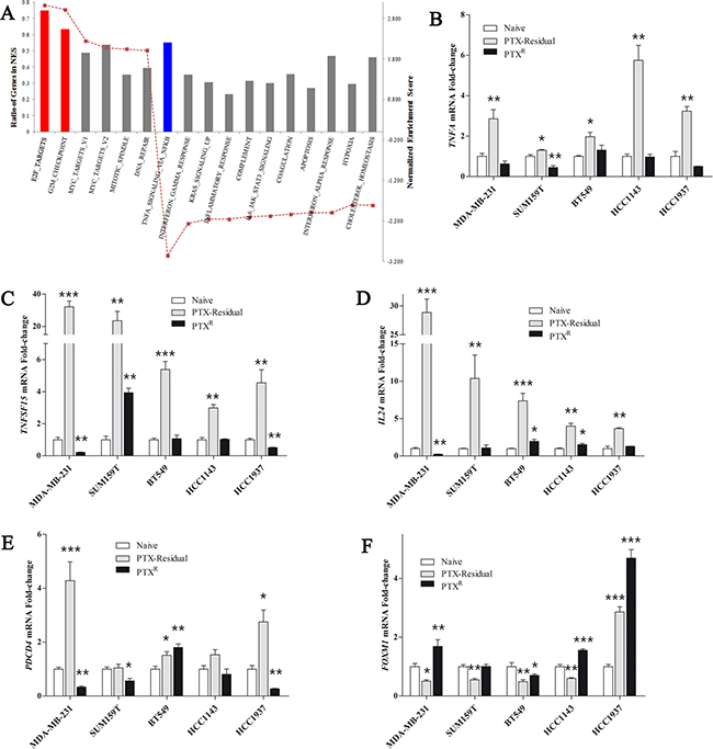 Transcriptional profile of paclitaxel-resistant cells compared to paclitaxel-residual cells.