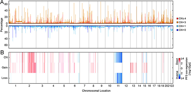 Distribution of somatic copy number alterations and their association with PTC progression.