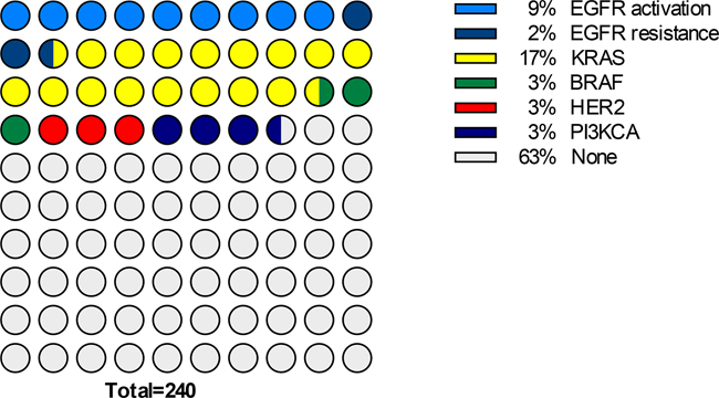 Chart representing the mutational spectrum of the subset of patients of African descent (N=240).