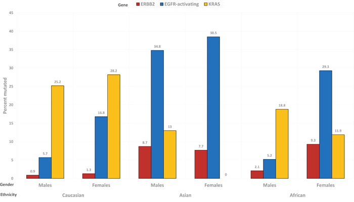 Prevalence of ERBB2 (red), EGFR-activating (blue) and KRAS (yellow) mutations, in the subgroups determined by gender and ethnicity.