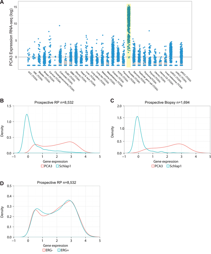 Pan-cancer and prostate-specific expression of PCA3.