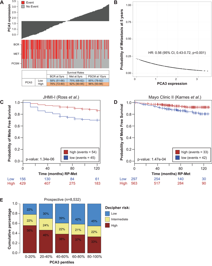 Prognostic impact of PCA3 in localized prostate tumors.