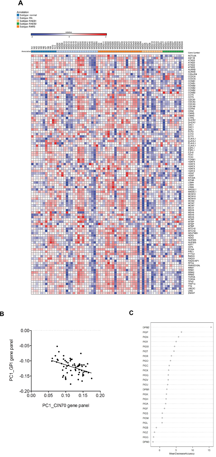 PIGN gene was highly ranked as a predictive biomarker of MDS risk stratification.