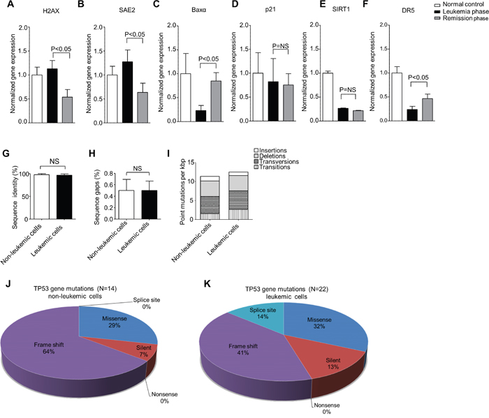 PIGN expression aberration was associated with genomic instability in leukemic cells and was TP53-pathway independent.