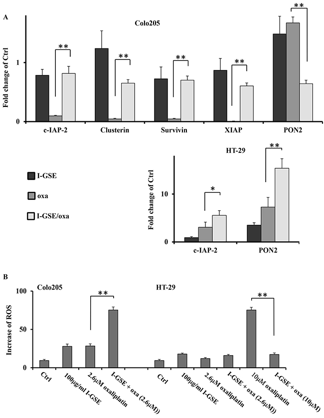 Antiapoptotic proteins and ROS generation affecting the apoptosis induced by oxaliplatin.