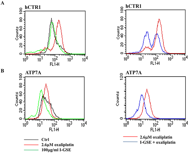 Modulation of transport system responsible for the uptake and efflux of platinum compounds.