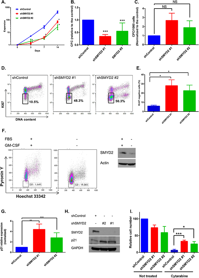 SMYD2 regulates leukemia cells growth and quiescence.