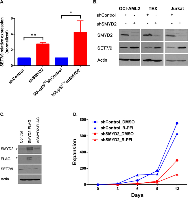 SMYD2 downregulation induces SET7/9 upregulation.