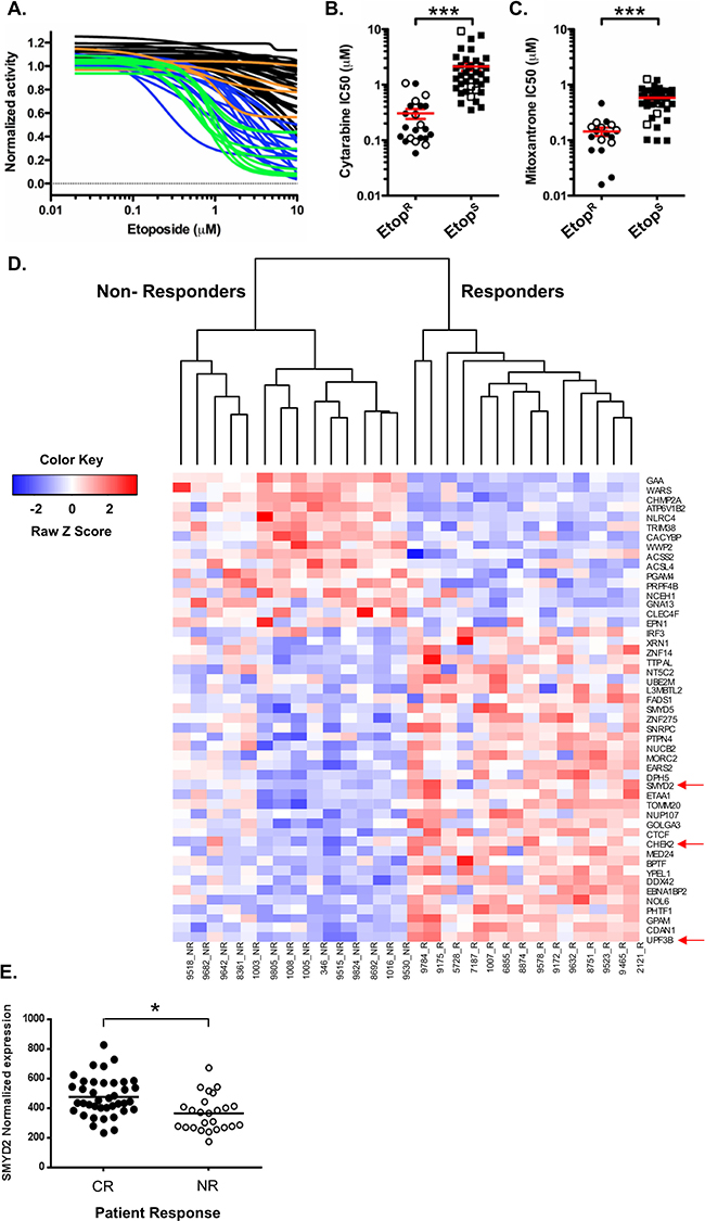 High SMYD2 expression predicts AML response to therapy.