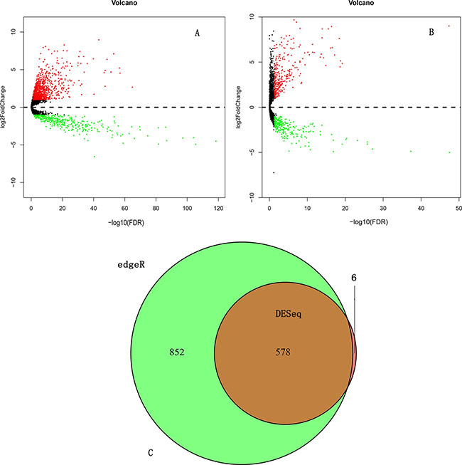 Differentially expressed lncRNAs (DELs) analysis.