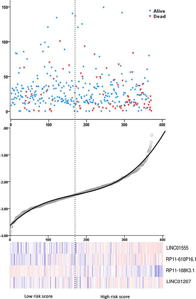 Risk score analysis of the differentially expressed lncRNA (DEL) signature of COAD.