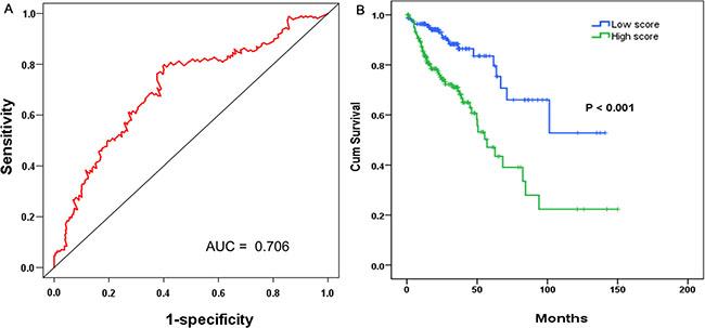 The prognostic performance of the four-differentially expressed lncRNA (DEL) signature of COAD.
