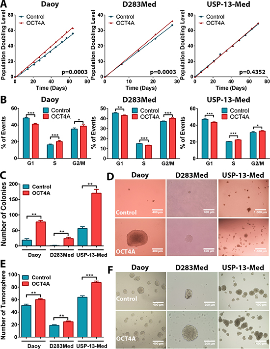 OCT4A overexpression increases medulloblastoma cell proliferation and tumorsphere generation in vitro.