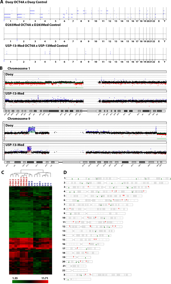 Molecular alterations induced by OCT4A overexpression in medulloblastoma cells.