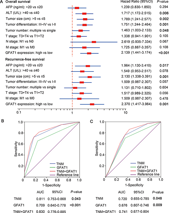 Multivariate Cox regression analysis and ROC analyses for predictive effect of GFAT1.