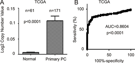 FAM84B gene amplification in prostate tumors.