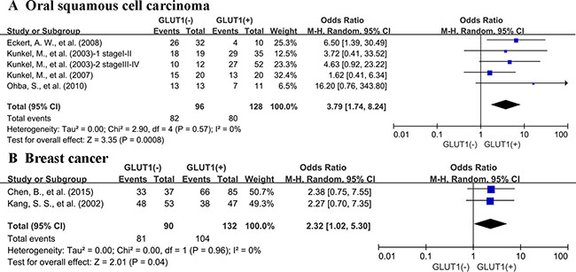 Subgroup analysis of 3-year OS by expression level of GLUT1 in different cancer types.