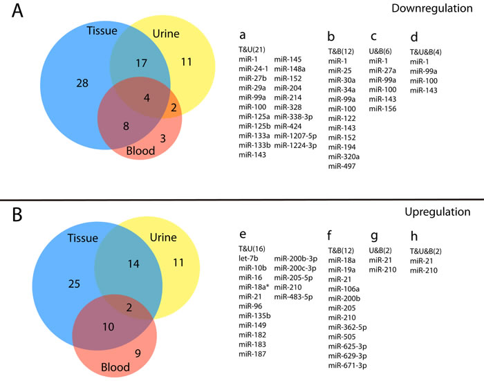 Venn diagram of multiple reported miRNAs in three biological samples.