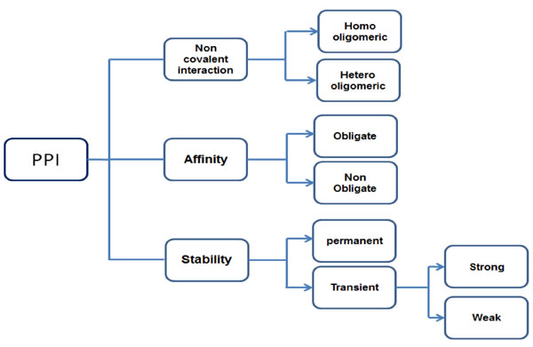 Different types of PPI based on nature.