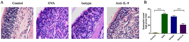 Anti-IL-9 Abs reduced the infiltration of eosinophils in the nasal mucosa.