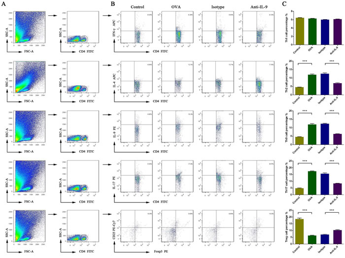 Effect of anti-IL-9 Ab treatment on the percentage of T-helper cell subsets and Treg cells in the nasal mucosa, analyzed by flow cytometry.