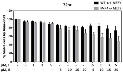 Modulation of Bendamustine-induced cytotoxicity in MEFs lacking