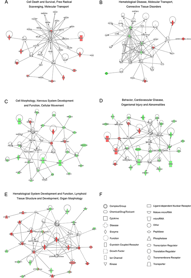 Significant protein-protein networks of DEPs identified between pathogenic CVS-11 and attenuated SRV9 infections.