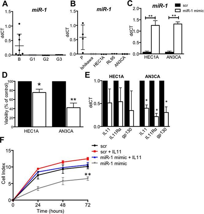 MiR-1 expression and regulation of IL11 in human endometrial cancer and cell lines.