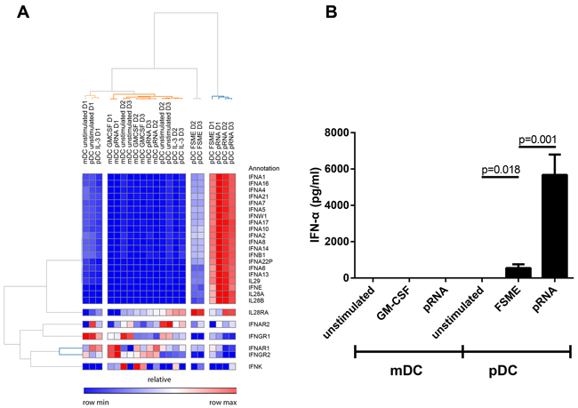 High type I/III interferon production of pDCs upon pRNA stimulation.