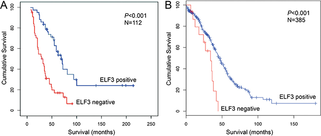 ELF3 is a favorable prognostic marker for ovarian carcinoma.