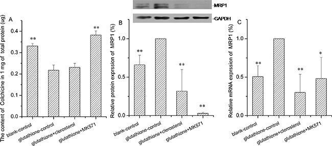Clerosterol&#x2019;s effect on MRP1 in glutathione-stimulated HEK293 cells.