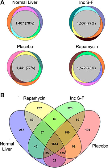 Venn diagrams showing the detection of peptides and proteins across biological replicates for each experimental group and for all experimental groups.