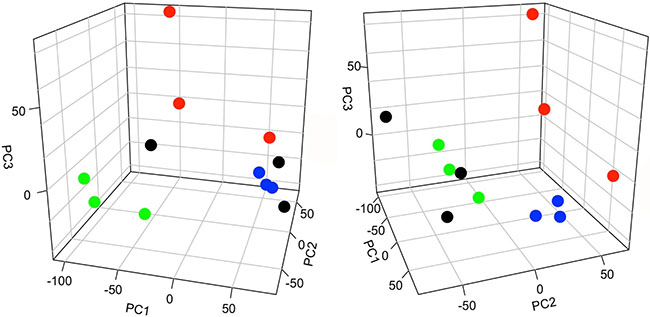 Principal component analysis (PCA) of peptide abundance data.