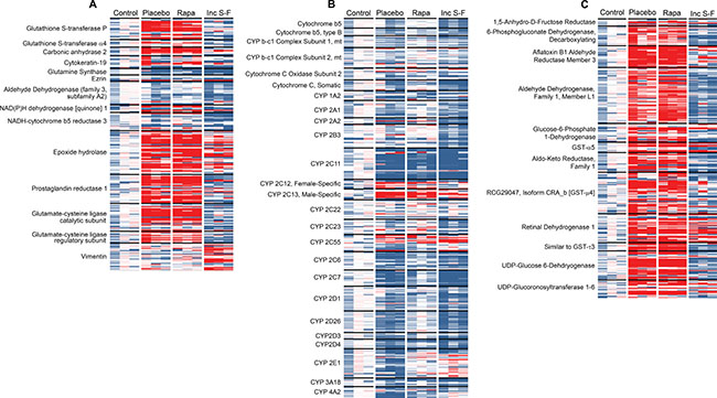 Heat maps showing the relative abundance of peptides in each of the twelve biological samples.