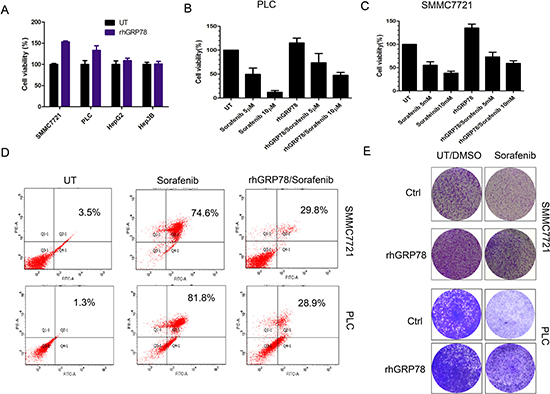 Secreted GRP78 promoted the proliferation of HCC cells and inhibited the sensitivity of HCC cells to sorafenib in vitro.