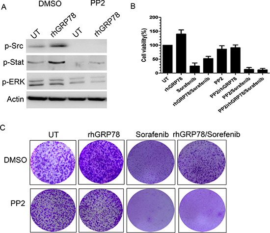 Inhibition of SRC activity attenuates the resistance to sorafenib induced by secreted GRP78.