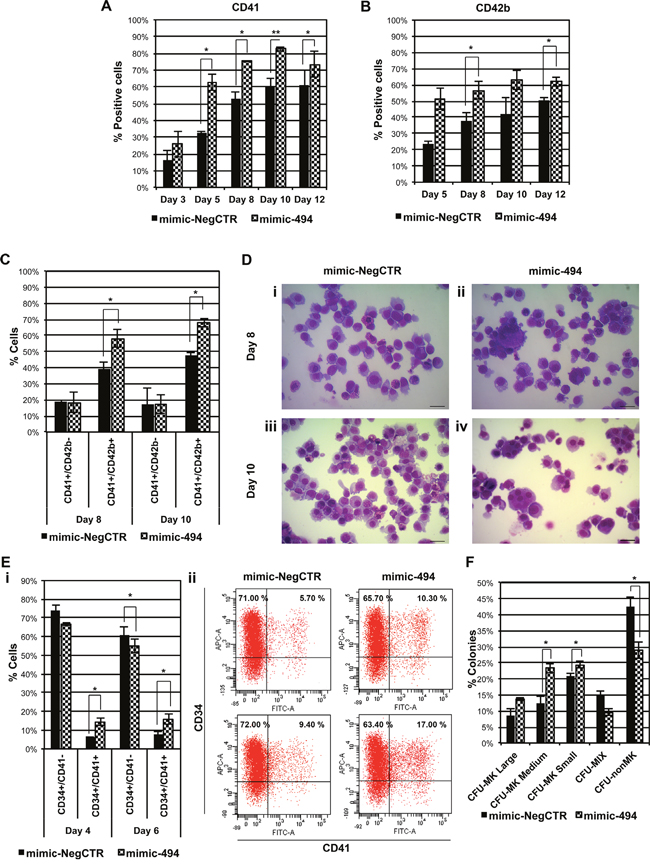miR-494-3p overexpression affects MK differentiation of HSPCs.
