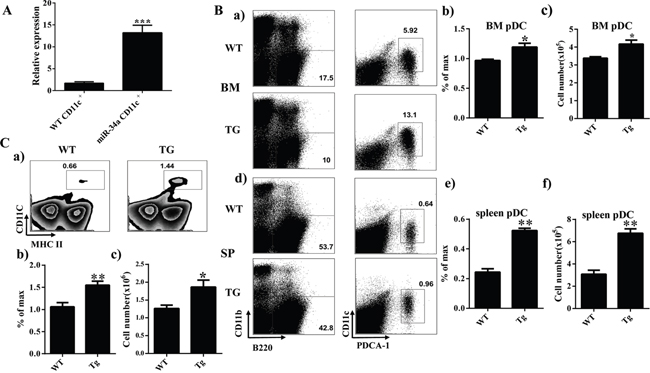 Overexpression of miR-34a increases number of cDC and pDC in miR-34a transgenic mice.