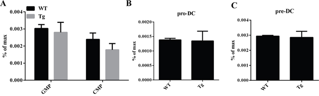 GMP, CMP, ProDC, and PreDCs in miR-34a transgenic mice.