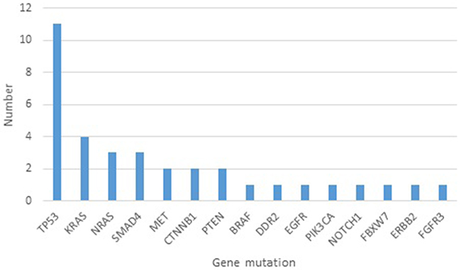 Number of hotspot mutations in different genes detected in exhaled breath condensates of 20 healthy subjects.