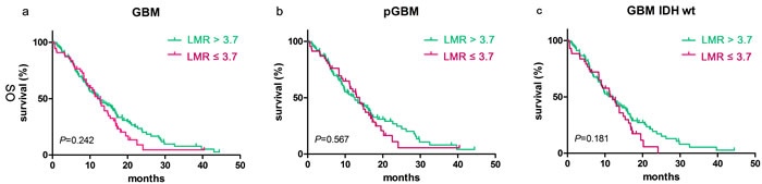 LMR didn&#x2019;t predict OS in glioblastomas.