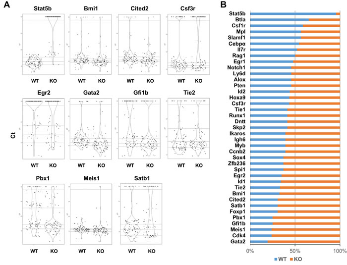 The majority of the key regulatory genes within the highest expressing KLS cells are overrepresented in the absence of Stat5.