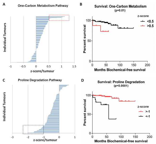 Metabolic pathways within the MSKCC Cohort associated with significantly decreased survival.